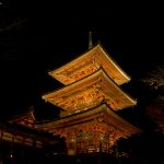 京都でホタルを見たい！乱舞が期待できる穴場的スポット！